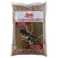 Lyric Bird Food, 5 lb Bag 26-47430